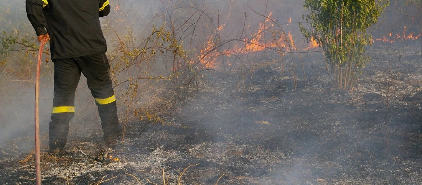 Συναγερμός στην Χαλκιδική: Σε εξέλιξη δασικές φωτιές μετά από πτώσεις κεραυνών